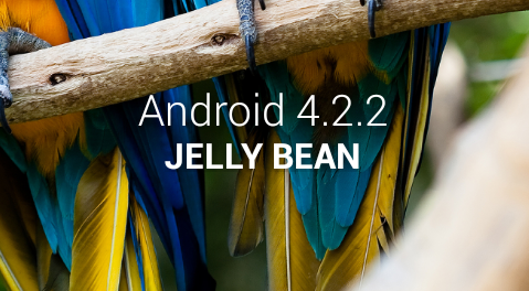 Could the Galaxy S2 still get Android 4.2?
