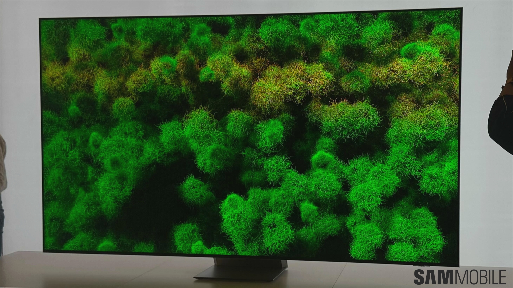 Samsung won’t be the only big-name brand with Micro RGB TVs next year